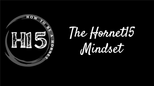 What is Hornet15?